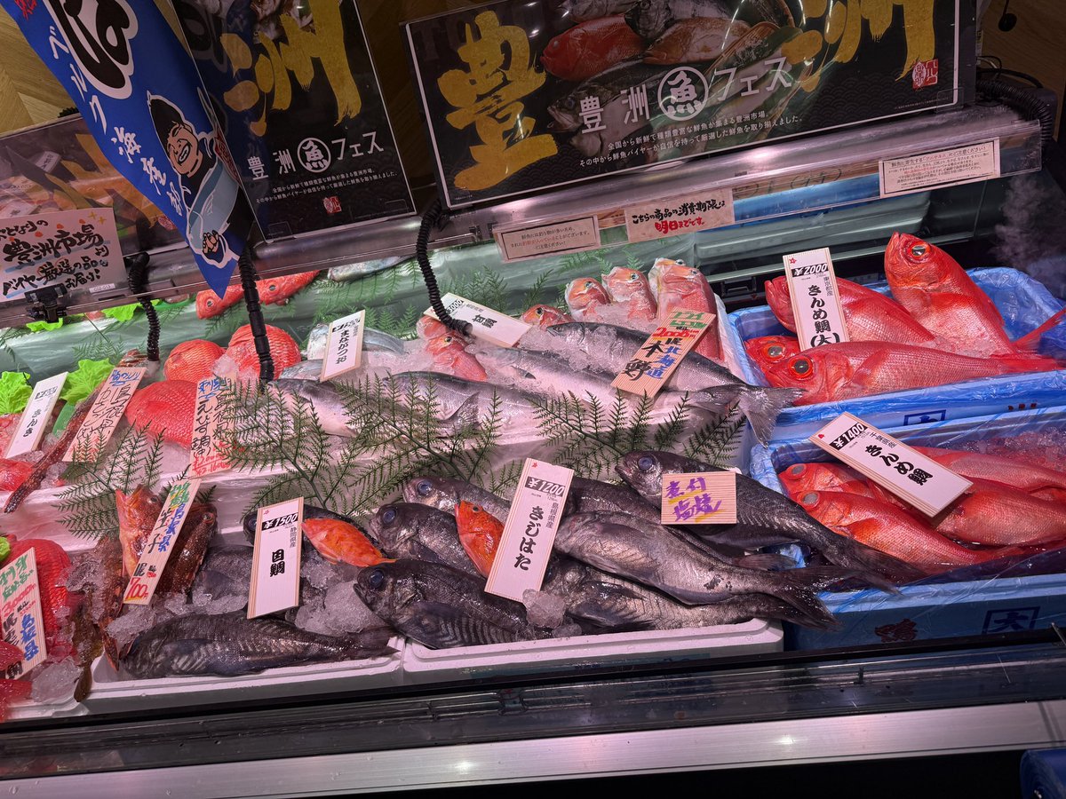 yoriblog's tweet photo. 目鯛を買ってみた！
身がしっかりしててうまい！ https://t.co/qpAOayeiFI