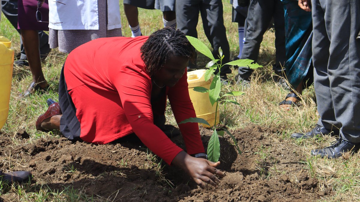 GitiriHon's tweet photo. Today at Kwamboo Comprehensive School, Hon. Gitiri Kamau engages Machakos learners on climate action as part of World Environment Day 2026.
#WorldEnvironmentDay🌏 #ClimateCrisisAndSolutions☔ #Machakos💫 #HonGitiriKamau✅ #SenatorMachakos2027💯 https://t.co/FPz1Wwj8Qb