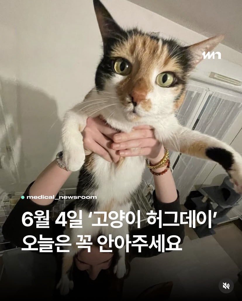 clovadocoi's tweet photo. 롱이 놀러왓어요
그리고 고양이 허그데이라 안아줫어요 https://t.co/kh4jtHIPGa