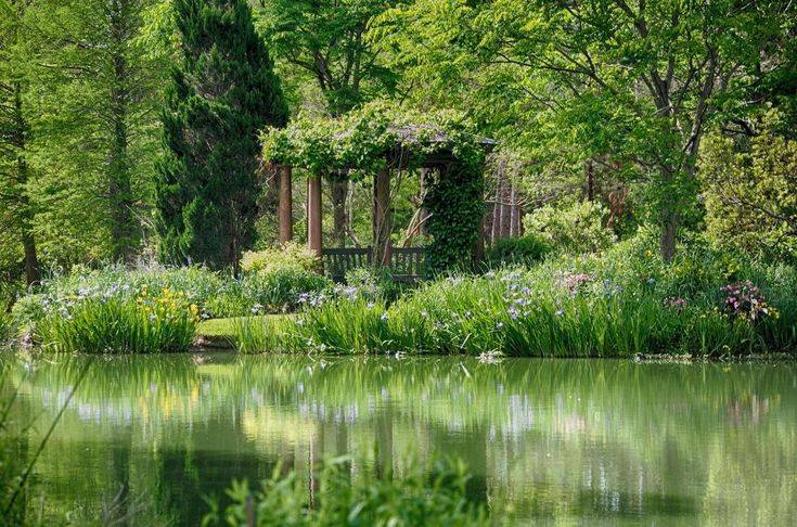 artindetails's tweet photo. a quiet sanctuary tucked away in green. https://t.co/LHzhm6yEZG