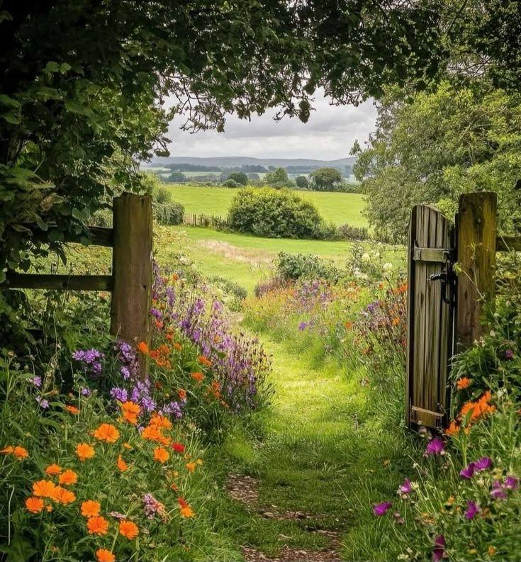 artindetails's tweet photo. farm life https://t.co/dSFPNdD8Mc