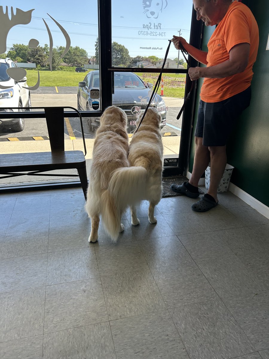 Huckhound14's tweet photo. Itโs hereโฆ#fluffbuttfriday
Look ๐ at our berry clean ๐งผ and fluffy buttsโค๏ธ https://t.co/61YVsoCqG6