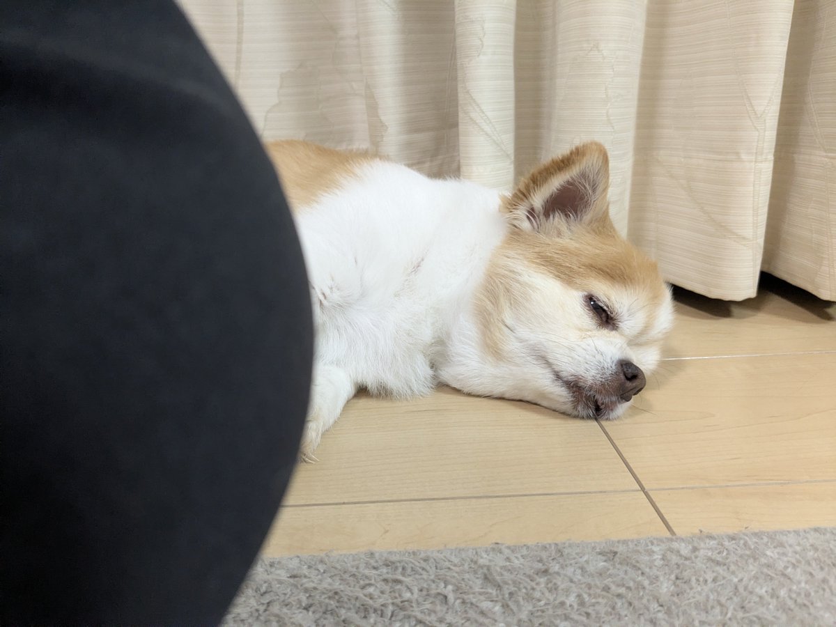 ゆいな tweet media