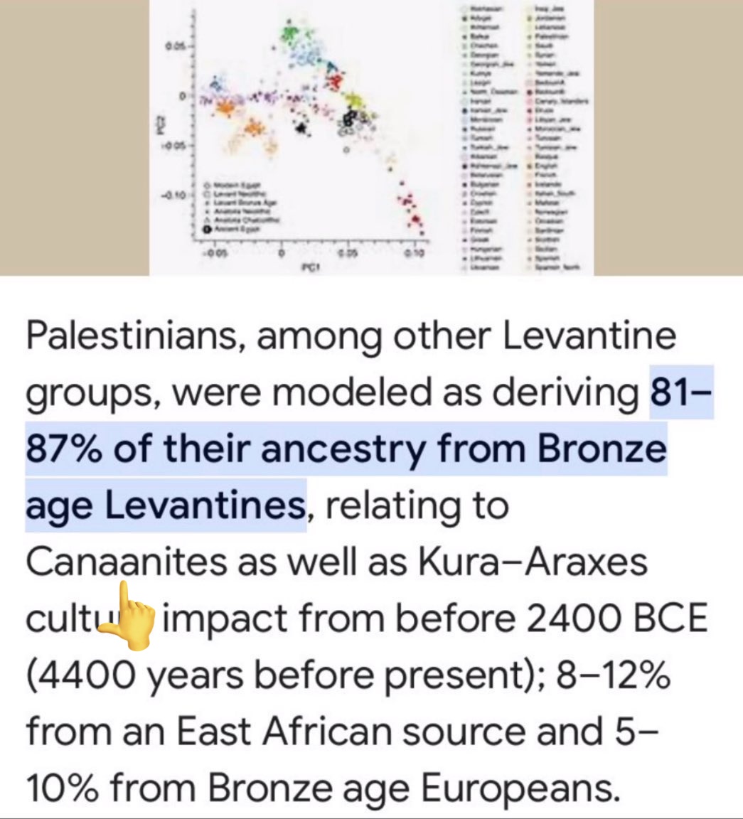 kmool0201's tweet photo. @RobertGlassman6 @Pakeha56 @HarrygPettit Israelites are Canaanites they came from, and the Palestinians pare their descendants btw https://t.co/3wD7q4vbBQ