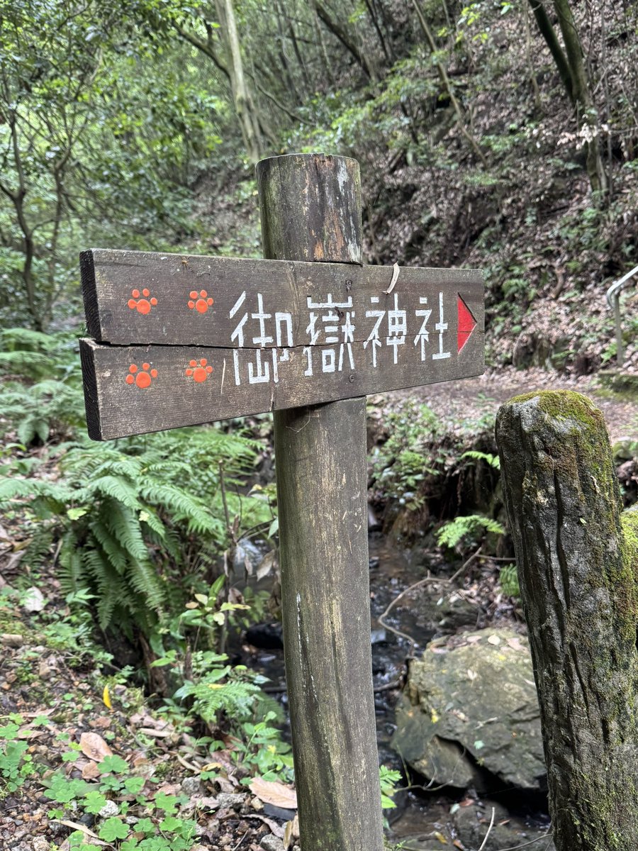 tkdarts28's tweet photo. 昨日、春日井の玉野御嶽神社⛩️行ったんだけど本当猫様に癒された🐈 https://t.co/zQCJ2afsGP