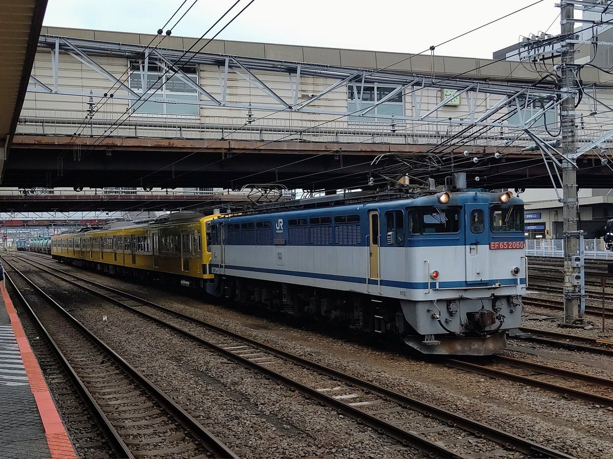 shinturu65's tweet photo. EF65の日なので、スマホに入ってたEF65の写真を適当に貼ってみる。

#EF65の日 https://t.co/Qhq0QQhr7k