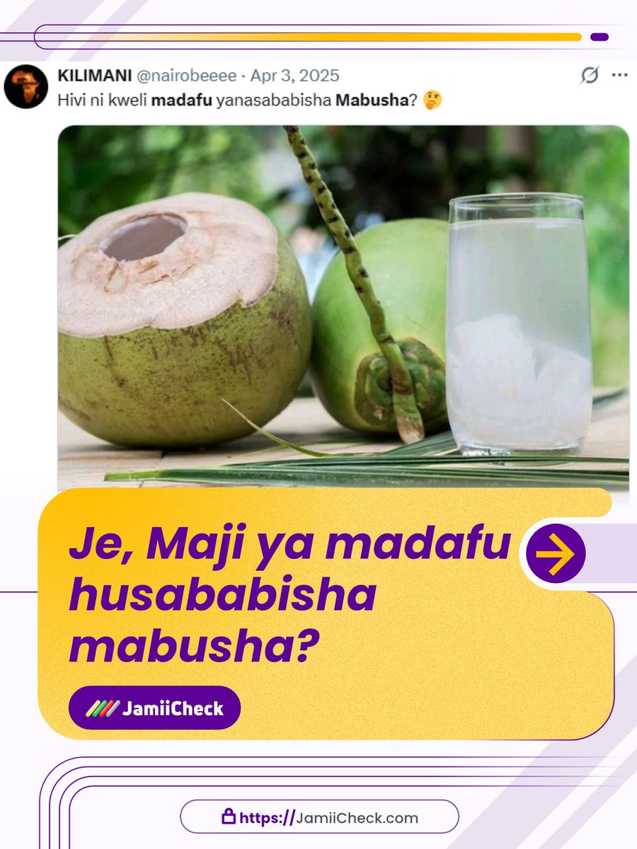 JamiiCheck's tweet photo. Hata hivyo, Watu wenye matatizo ya #Figo wanatahadharishwa kuwa waangalifu wanapokunywa maji ya madafu kwa kiasi kikubwa, kwani yanaweza kusababisha mwili kuhifadhi madini ya #Potassium kwa kiwango kinachozidi mahitaji, hali ambayo inaweza kuwa hatari kwa afya.

Zaidi soma https://t.co/WbnJiS2ldn

#JamiiCheck #FactsCheck #FactsChecking #VisitJamiiCheck #FactsMatter