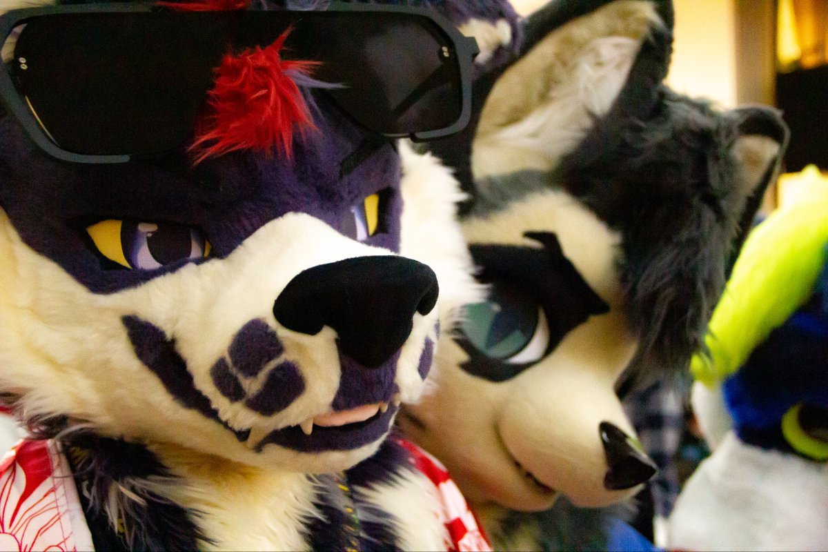 Dodecane2242's tweet photo. looking cool 😎

📸: @dFoxNeal 
#FursuitFriday https://t.co/pQllqOCaSS