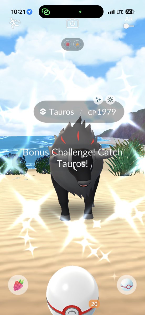 msdunkindonut's tweet photo. Day 1📍
• 141 raids (~6 hours at Lincoln Park)
• 53 shinies (Paldean Tauros and Wash Rotom secured💪)
• completed my shiny Unown dex specifically dexed Unown F, J, &amp; Q!!! https://t.co/9k4GpVNgV5