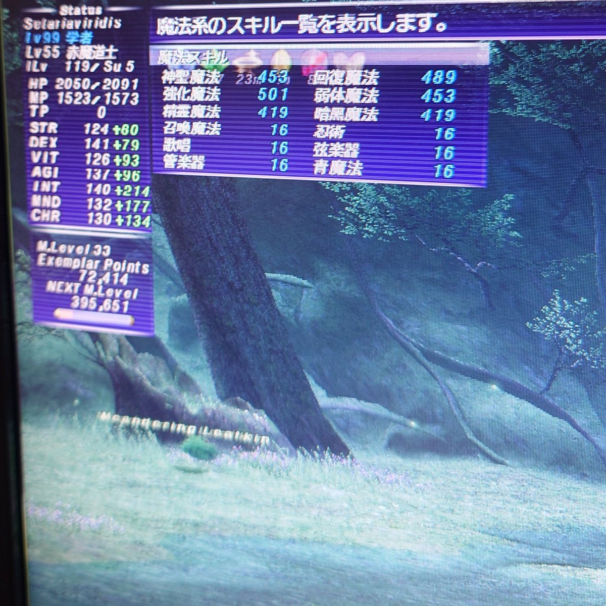 SetariaV's tweet photo. FF11有識者教えて！
被ファランクス装備完璧の上位プレイヤーから「あなたのファランクス弱い」って言われたの。高MLV、装備完璧の学者と比べてね。で、確かにFC装備のままファランクスしてたけど、強化魔法スキルは500超えてるのよ。
何が悪いの？
何を替えれば良い？
#FFXI https://t.co/gFZhCjnJYJ