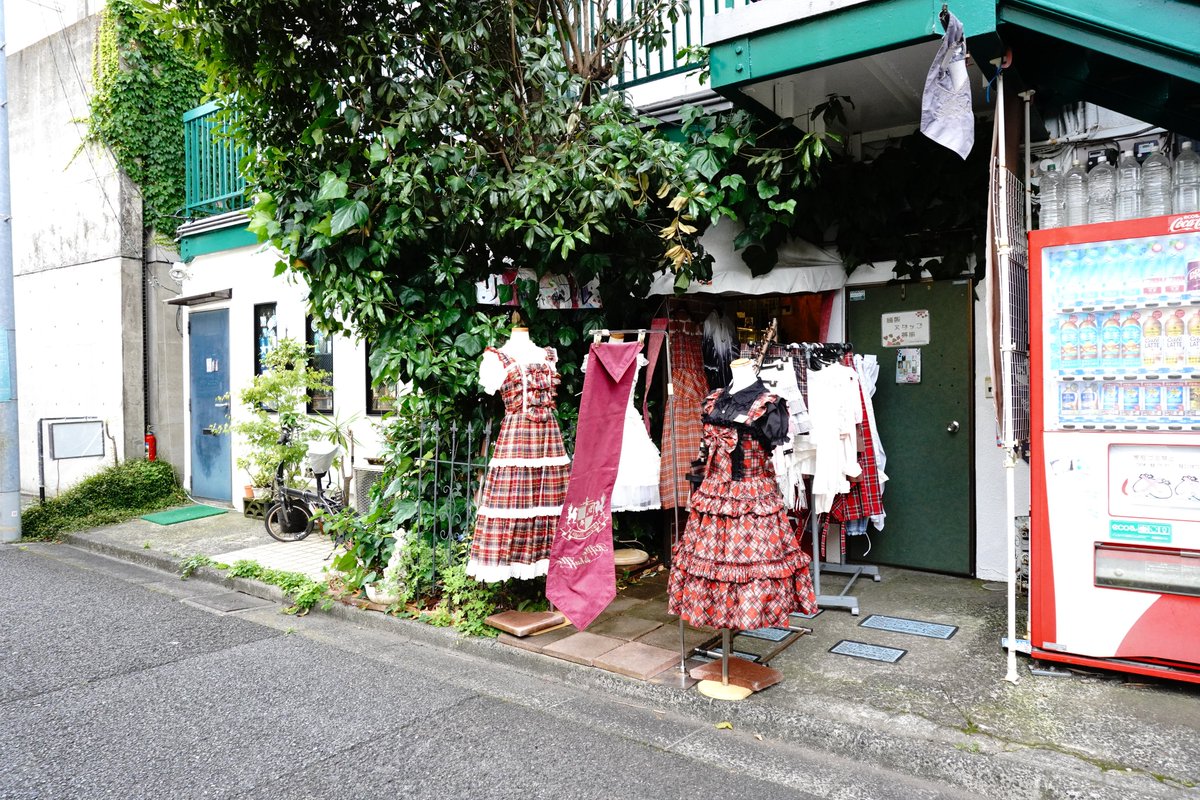 桜夜_saya tweet media