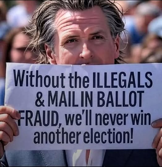 SaltyGoat17's tweet photo. This is why Democrats are fighting tooth and nail against the Save America Act!! https://t.co/H0oivBzsM0