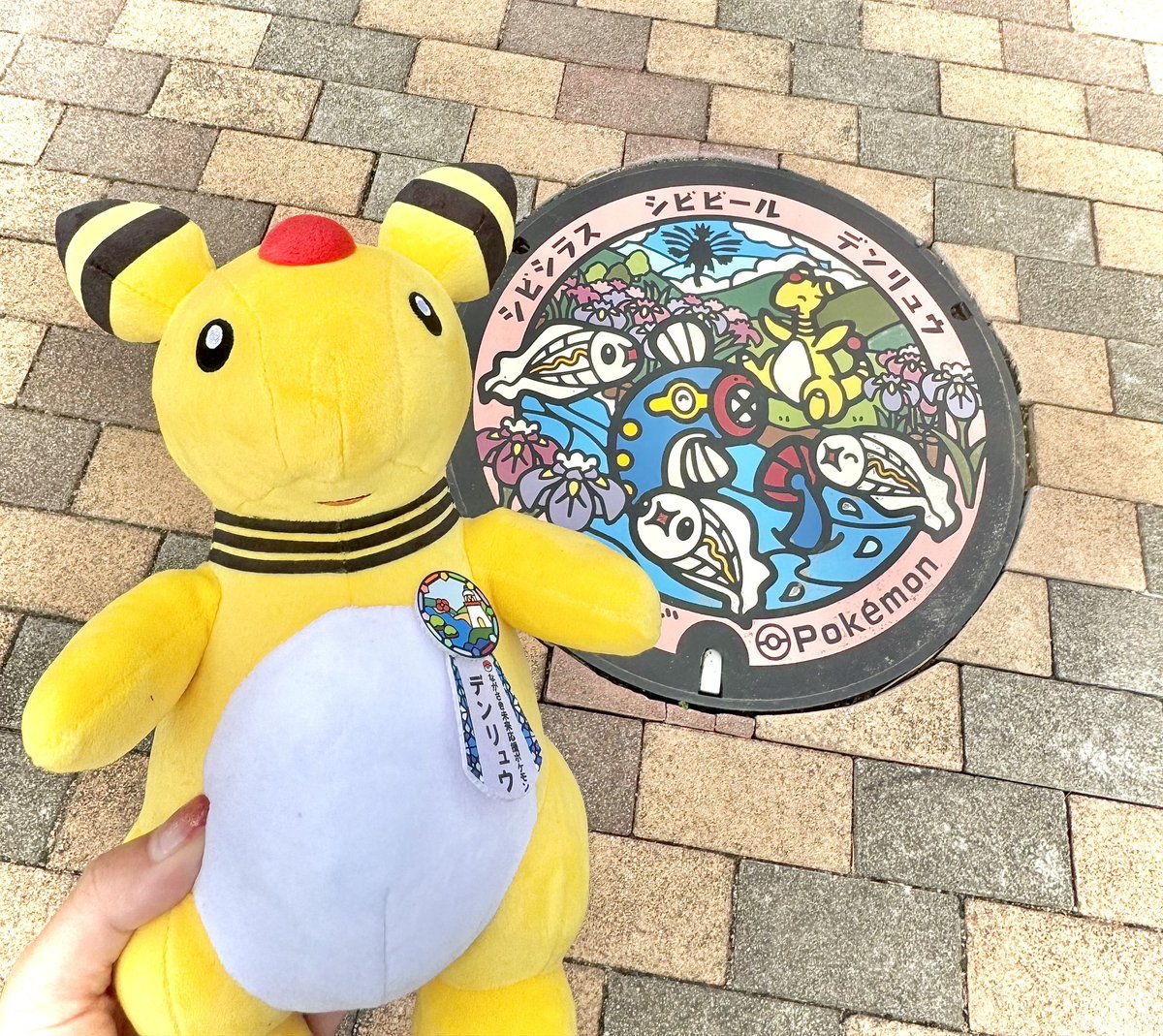 MCMB___ntm's tweet photo. #ながさきデンリュウフォトキャンペーン

@no_TL https://t.co/mKwWZwSMfK