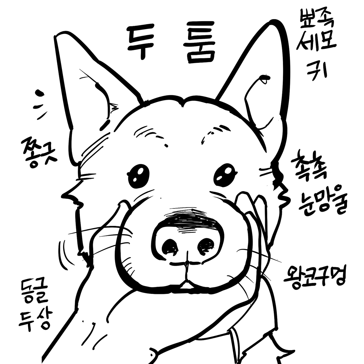id20250726's tweet photo. 두툼이 https://t.co/yJ9vuLPQha
