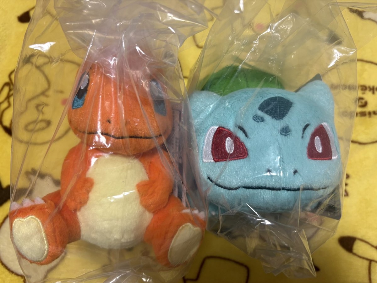 noa_005's tweet photo. 追加くじ分のぬいはカントー組🥰
相棒のヒトカゲゲット出来たのでヨシ👍 https://t.co/PvIqiWoE1s
