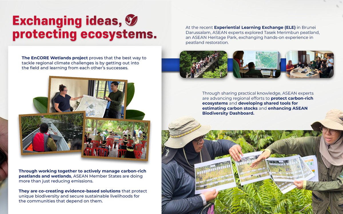 ukmissionasean's tweet photo. Nature thrives on connection, and so do the best climate solutions 🌿

On #WorldEnvironmentDay, we celebrate people across Southeast Asia leading efforts to protect our planet through the ASEAN-UK Green Transition Fund! 🌏🤝

#UKASEAN5 #AdvancingTogether https://t.co/nLXTldgmKu