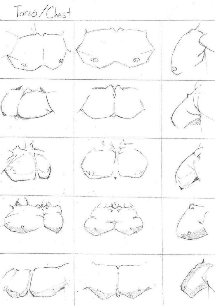 BearDesignX's tweet photo. types of chest! https://t.co/QKWyztN9LO