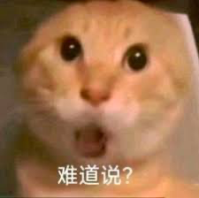 24GodofGamblers's tweet photo. $Alpaca 0xdeb8b35a35ff8e37319699ff600808037ec34444
榜一的地址持仓挺多的，仔细去调研了一下，原来是gate所钱包的地址😂那就安心了 https://t.co/nCHPmZEwz6