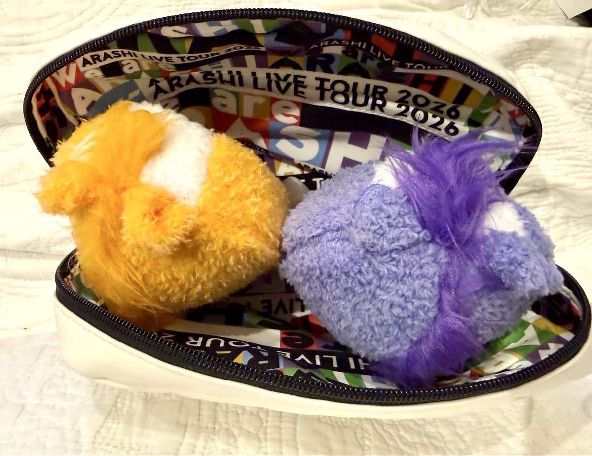嵐ポーチにぬい2つぴったり🧡💜 #ACEes