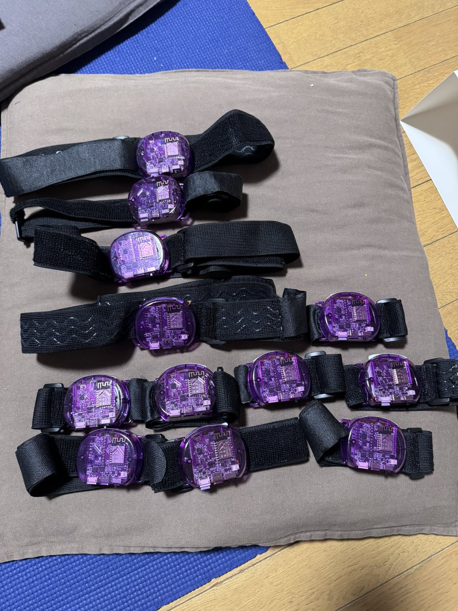 beruo11vrc's tweet photo. もう一個出てきたので12個ですね https://t.co/RiwRlYHlTf