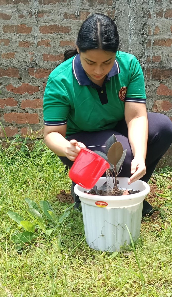 PMShriKVCRPF26's tweet photo. PM Shri KV CRPF Amerigog celebrated World Environment Day 2026 #WorldEnvironmentDay2026 #EkPedMaaKeNaam #SchoolEducation #DoSEL #NEP2020 #EcoClubsforMissionLIFE https://t.co/eTchdU46MX