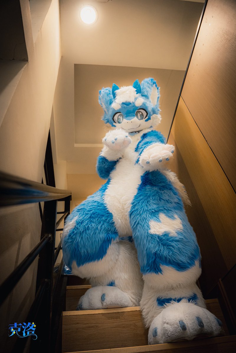 LH_Sea_Dragon's tweet photo. 跟我回家吧w（我在发光唉）
📷：克洛
 #FursuitFriday https://t.co/flbf6pfIJP