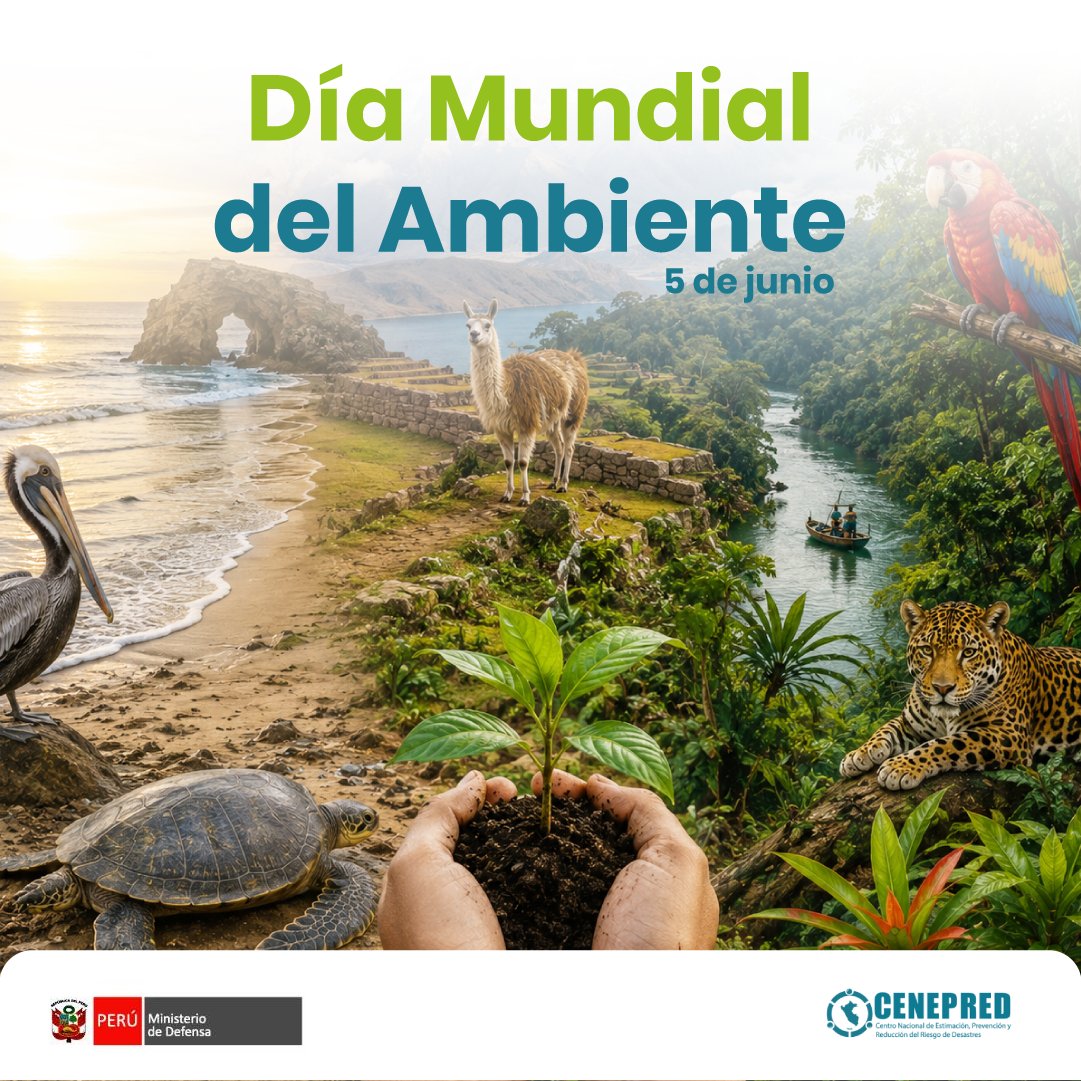 CENEPRED's tweet photo. 🗓️ 05 Junio. | Hoy es un día para reflexionar sobre el cuidado del medio ambiente y la protección de nuestra biodiversidad.

¡Prevención realizada, población asegurada!
#Prevención #GestionDelRiesgo #CenepredPerú https://t.co/lY89hOD8PM