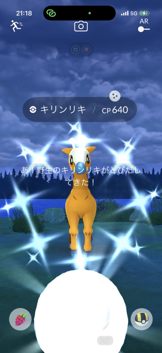 thirdbrown(しょう) tweet media