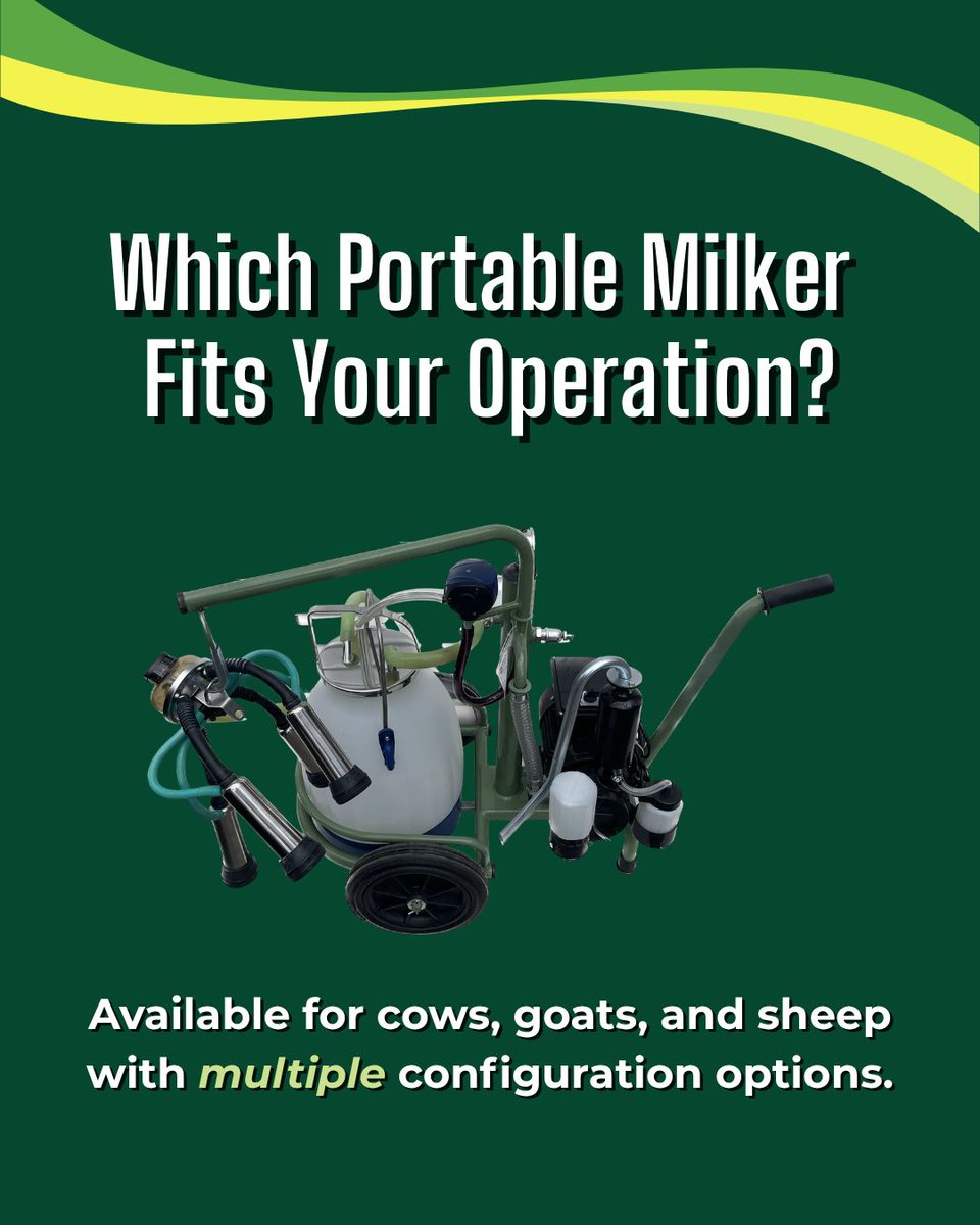 GreenoakNA's tweet photo. Which portable milker fits your operation?

Choose your pump, bucket, and milking unit configuration to build a system that works for your herd.

Learn more:
https://t.co/bFEjKkbUNu 

#portablemilker #dairyfarming #goatfarming #sheepfarming #dairygoats #dairysheep #dairyequipment https://t.co/psqfJh5bHp