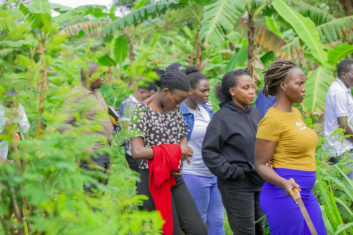 Mackline02's tweet photo. Let's all go, walk, talk green to save the environment and eco system.
Eat organic to keep healthy .
Happy world environment day https://t.co/uxawezBMlw
