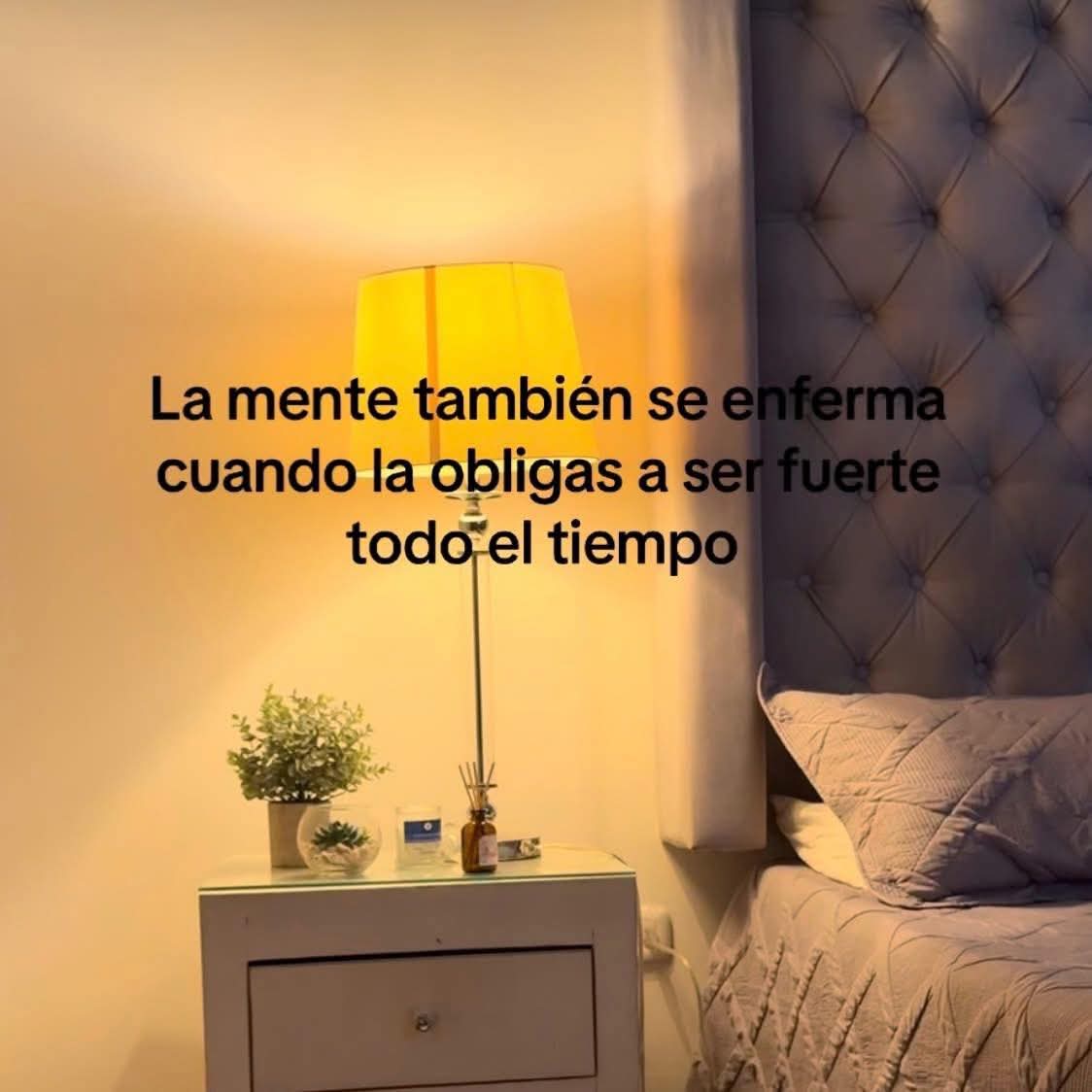 nxstypxet's tweet photo. https://t.co/x7k7Glxg9I
