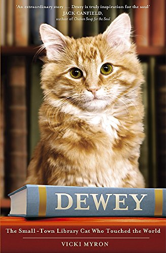 SophiaSmith222's tweet photo. @catwithaura Here's a real life picture of Dewey.  For those of you, like me, who wanted to see him. https://t.co/CaADRKYUh8