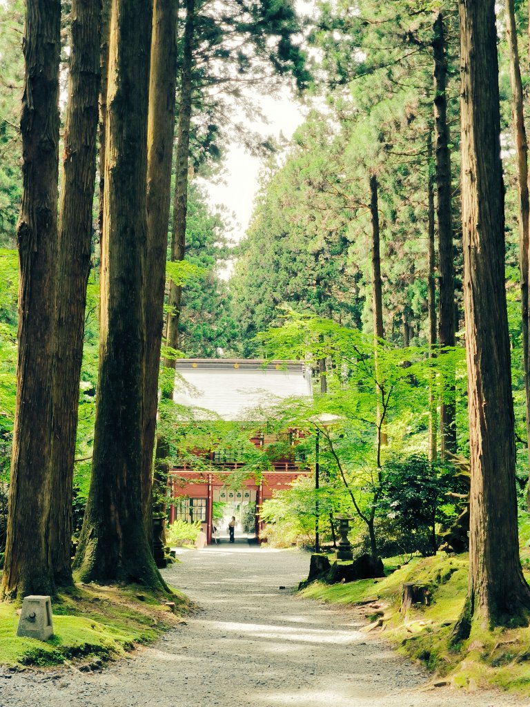DAPPE_BRASS's tweet photo. どーもっ！
リーダーのhttps://t.co/neqap2fTQ5です！

先日、日立市にある #御岩神社 に行ってきました！

緑が綺麗でとても癒されました！

#茨城 #日立
#DAPPEBRASS 
#だっぺブラス 
#だっぺ2026 https://t.co/46xAuPzWeo