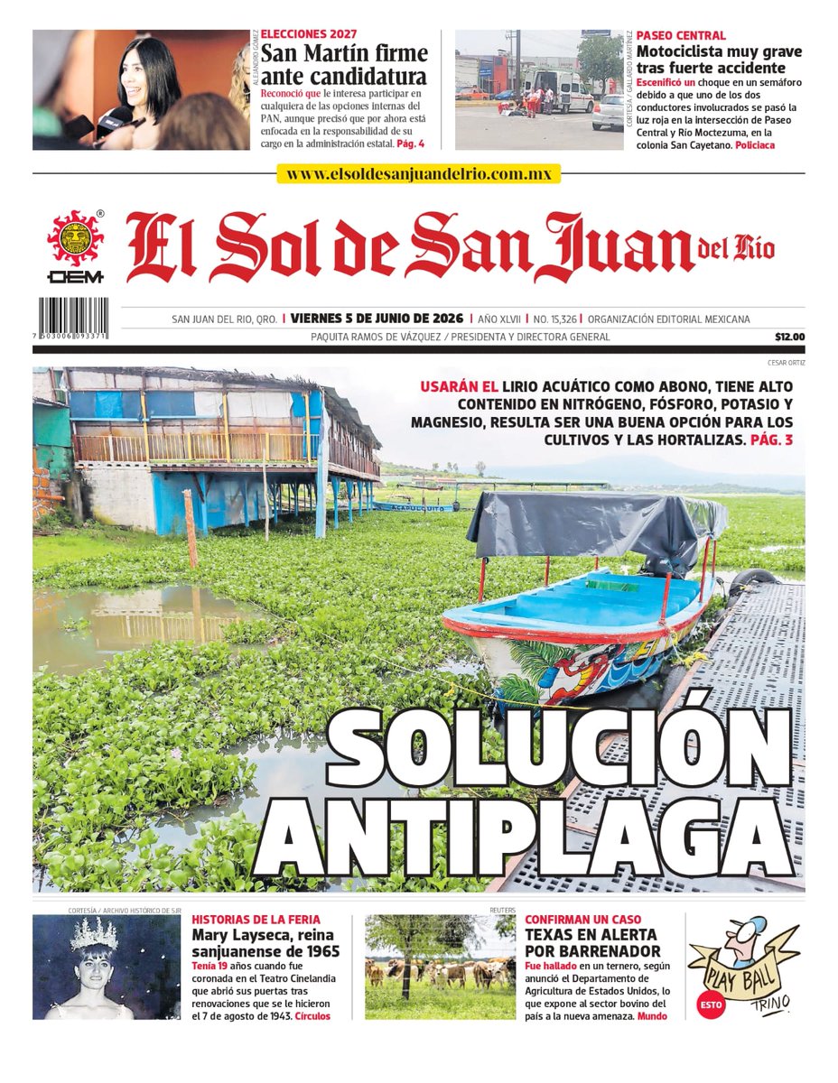 ElSoldeSnJuan's tweet photo. ¡Buen día, San Juan del Río! 📰✨
➡️ Lirio acuático, de plaga a abono

📱 Te invitamos a visitar nuestro sitio y mantenerte informado en https://t.co/j1vJDIfTFg https://t.co/Eet3kBHXMY