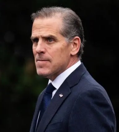 Antunes1's tweet photo. 🚨 Hunter Biden just posted on X:

“Epstein didn’t kill himself” https://t.co/Gi5tFycMWc
