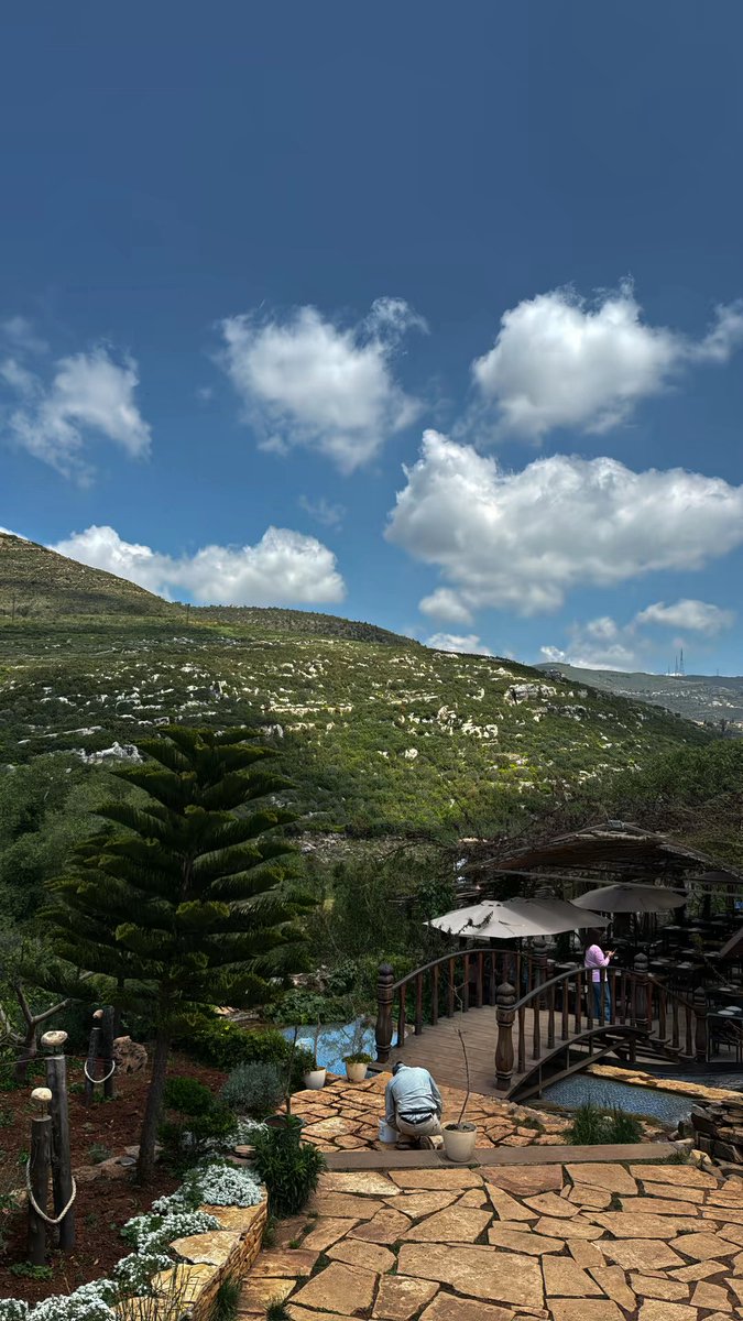 detectaie's tweet photo. 🇸🇾 https://t.co/OcVc7YnMbz