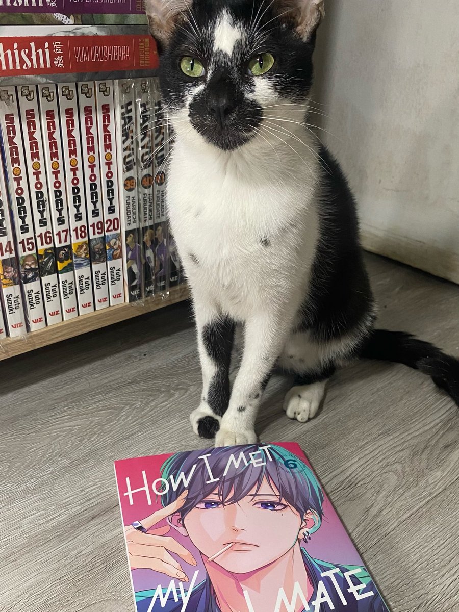 1qxyusui's tweet photo. unexpectedly found vol. 6 of #howimetmysoulmate at @_FullyBooked today and my cat definitely approves 😊

tysm to @KodanshaManga for giving us such magnificent covers https://t.co/Kksr1aVHlP