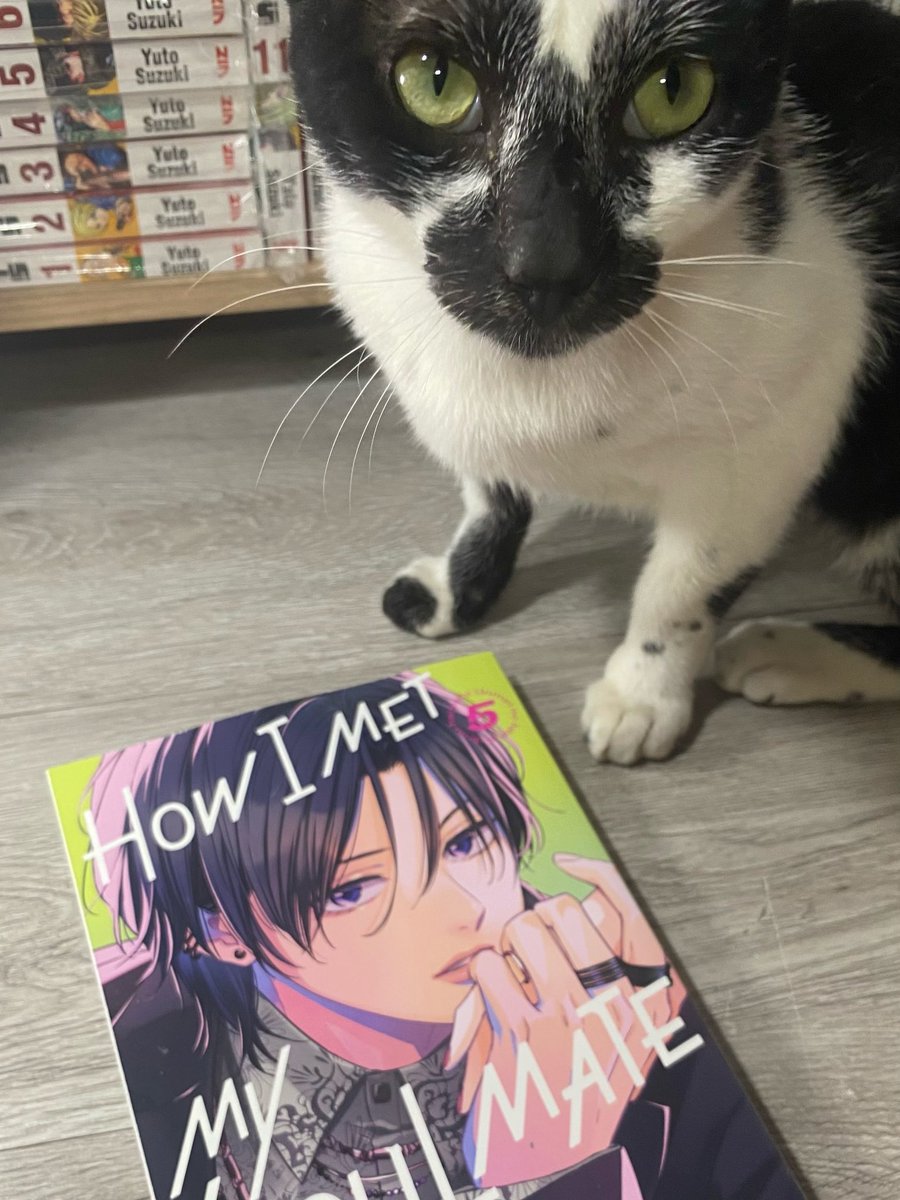 1qxyusui's tweet photo. unexpectedly found vol. 6 of #howimetmysoulmate at @_FullyBooked today and my cat definitely approves 😊

tysm to @KodanshaManga for giving us such magnificent covers https://t.co/Kksr1aVHlP