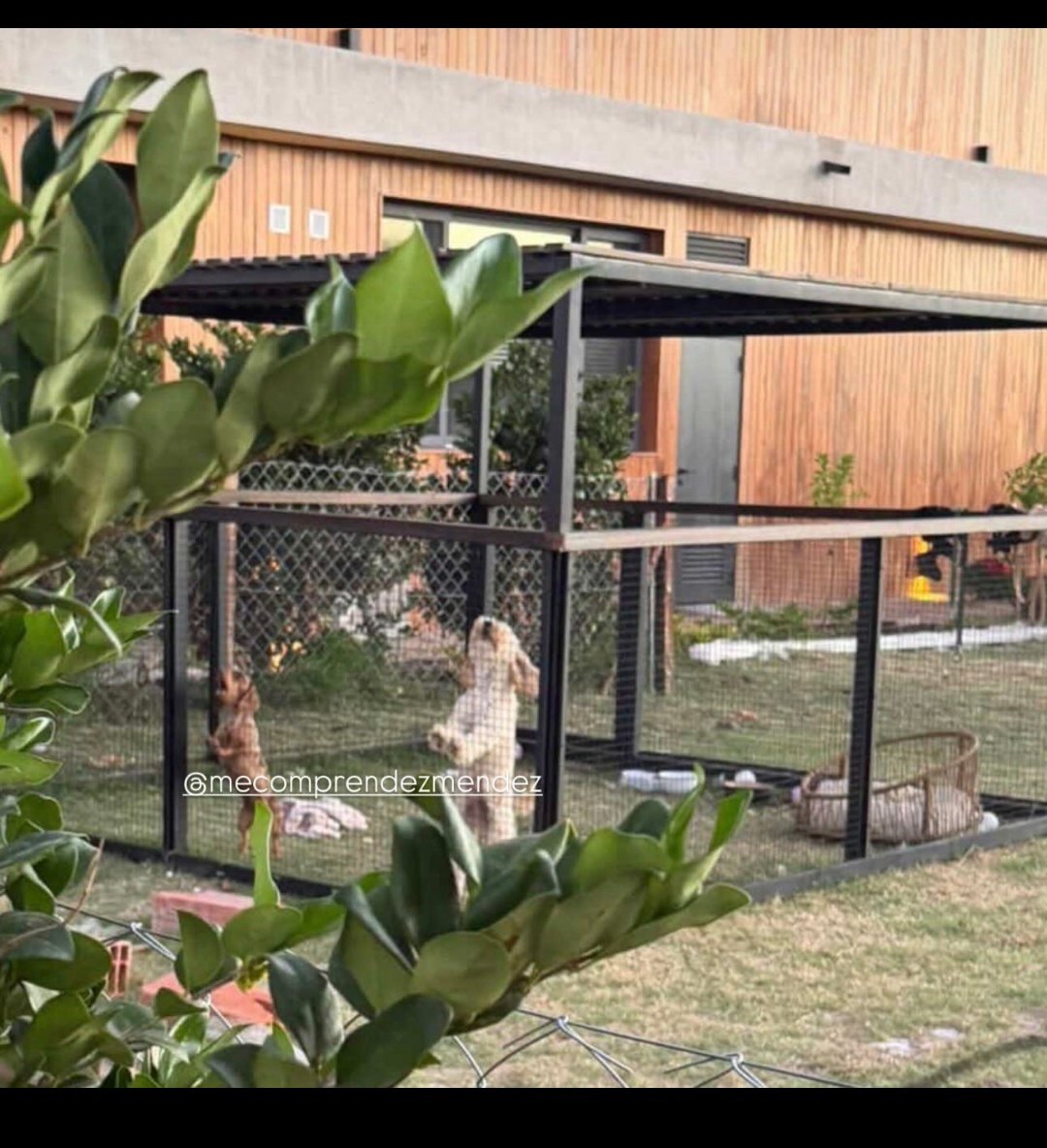 InfiniteWorld23's tweet photo. @angiebalbiani Le exige que se lleve unos perros que los propios vecinos de Wanda denunciaron que los tenía abandonados y llorando en esa jaula. La locura es total. https://t.co/q4m9tvH5B2