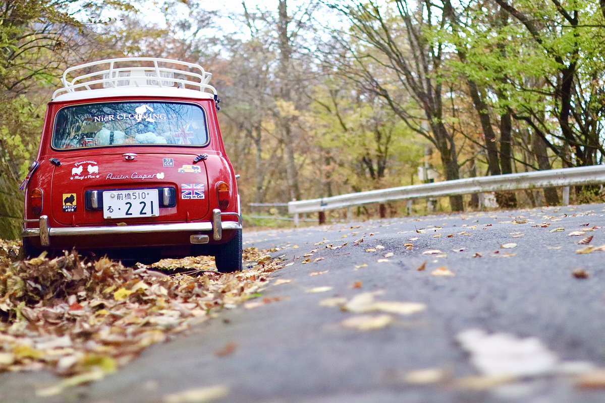 Ru_mini_'s tweet photo. こーゆー地面も写す画角が好き https://t.co/ck1FlOOA2f