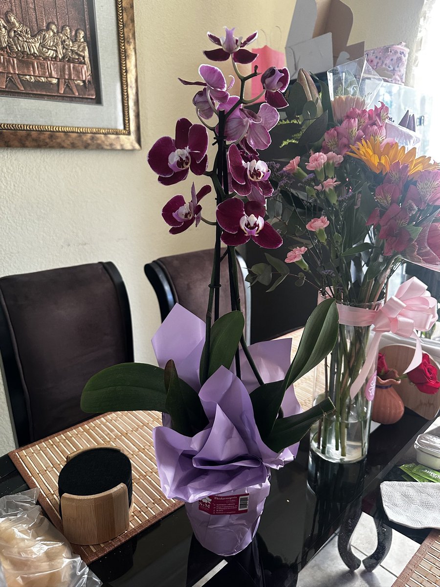 janicedvl_'s tweet photo. Mi novio y amigas me llenaron de flores en mi cumpleaños 🥹🌹🌻 https://t.co/uuwXsPmt8V