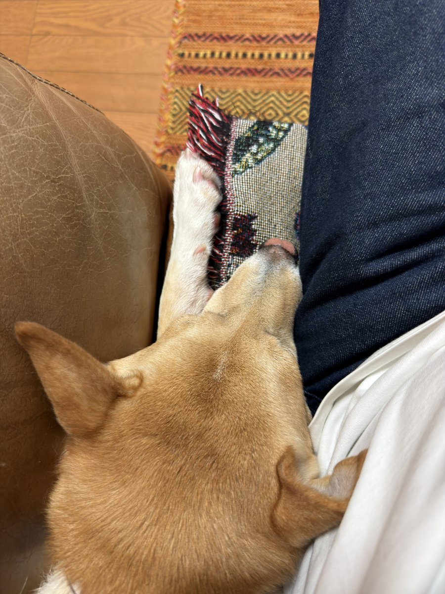 graphicas's tweet photo. そこ狭くない？ https://t.co/3SbBB1PCVJ