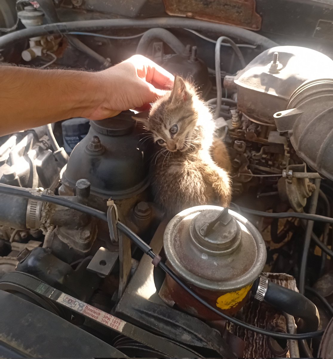 hasn4na's tweet photo. found this shit in the engine room https://t.co/TCd8eQCeyS