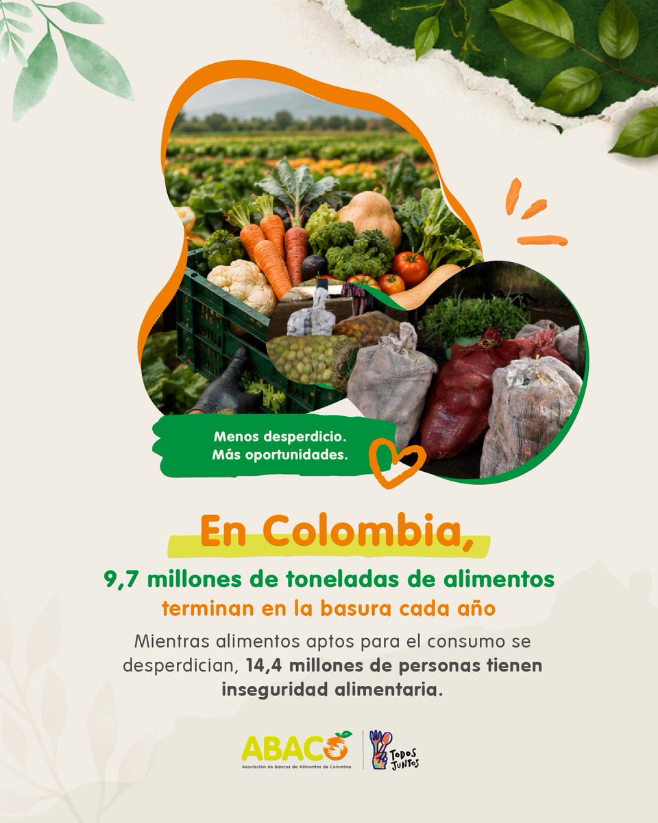 Abacocol's tweet photo. Cuidar el ambiente también es cuidar los alimentos. Cuando un alimento se pierde, también se pierden agua, suelo, energía y oportunidades de nutrición. #MedioAmbiente #ABACO https://t.co/lEXuuQ2i59
