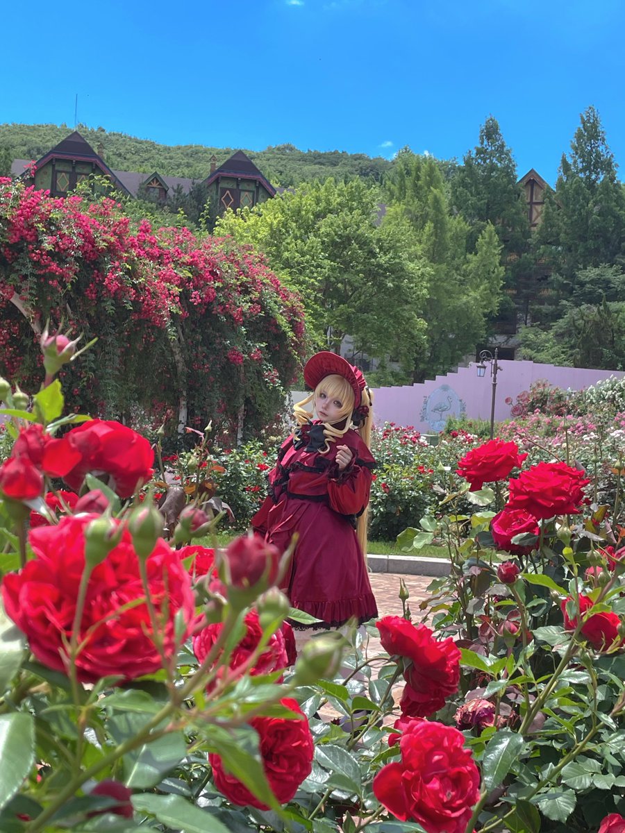 RJ_cos09's tweet photo. 무지개빛 장미 보여줄까 - 🌷
최고로 다양한 장미 구경했더염 ,, https://t.co/5Weg01T9Go