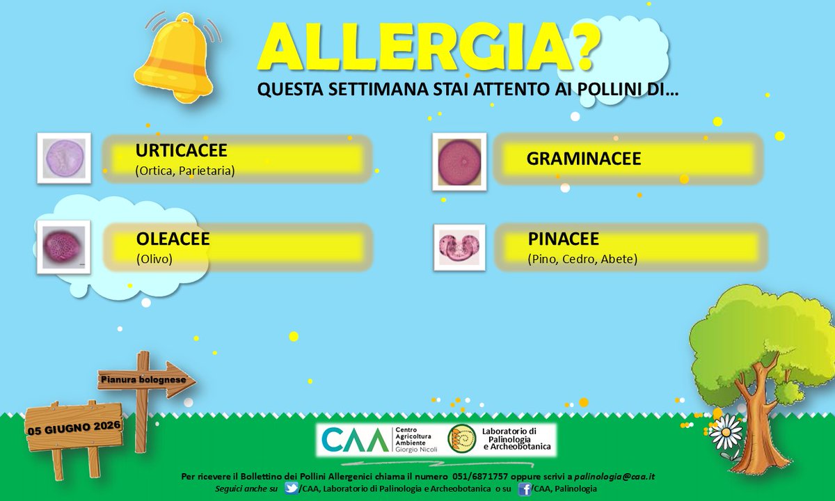 CAAPalinologia's tweet photo. Bollettino dei Pollini Allergenici - 05.06.26 per sapere  quali pollini sono presenti in aria! Per richiedere il Bollettino analitico scrivere a palinologia@caa.it (il servizio è riservato ai Comuni aderenti al progetto) #CAAPalinologia https://t.co/C1OegebmP7