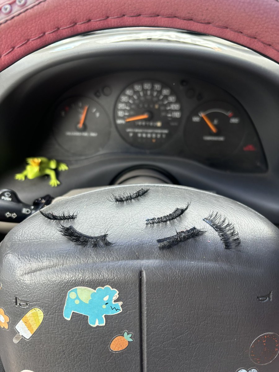 katiphobic's tweet photo. they immediately joined the graveyard when i got in the car https://t.co/j3dCPWfkEY