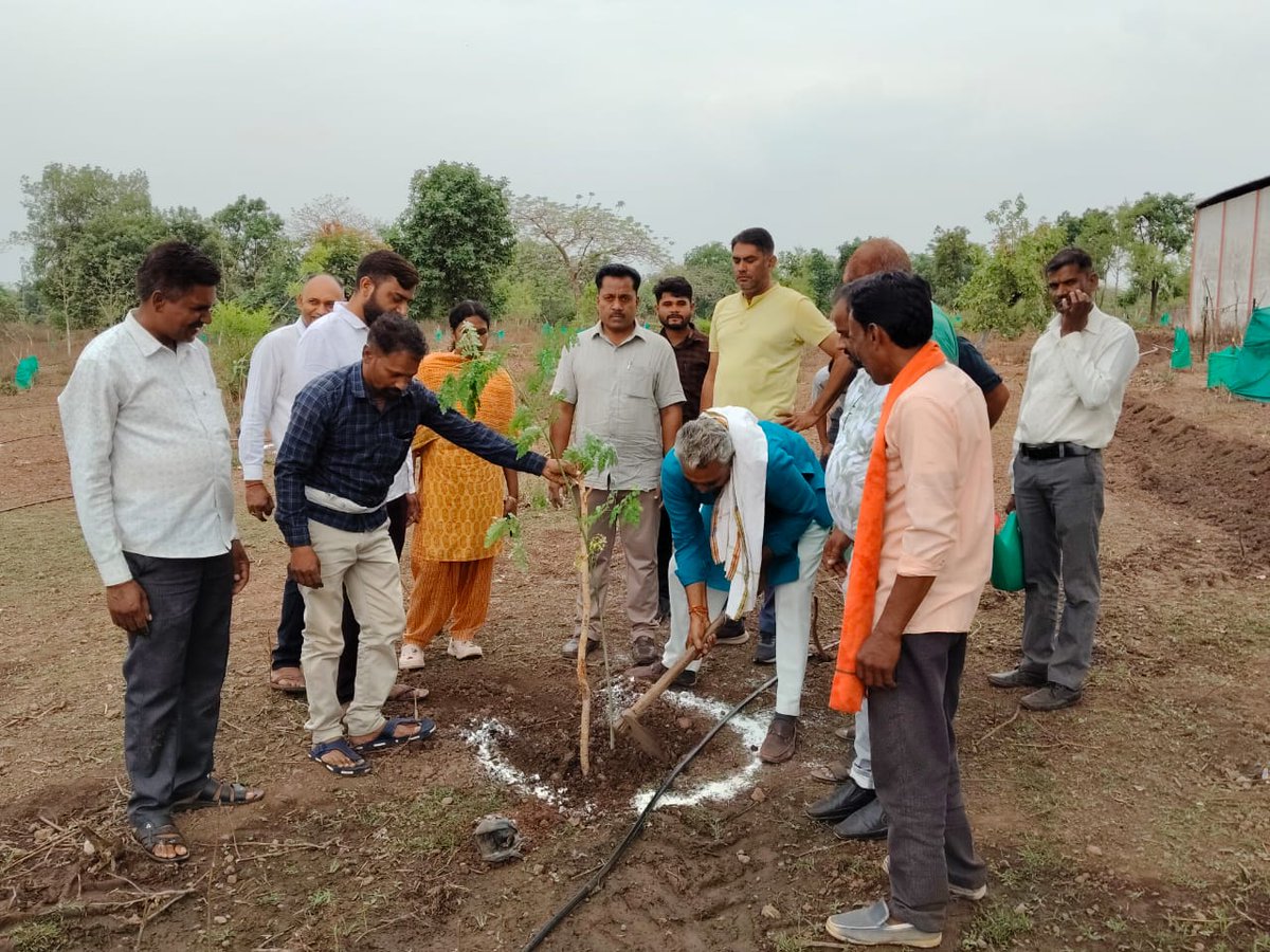 mjvs_katni_mp's tweet photo. विश्व पर्यावरण दिवस 5 जून 2026 
🔳मानव जीवन विकास समिति ने विश्व पर्यावरण दिवस पर 10 प्रजाति के 100 पौधे रोपकर पर्यावरण संरक्षण का सन्देश दिया।  
🔳 बजरंग गौशाला पठरा में वृहद वृक्षारोपण किया गया।
#Manav_Jeevan_Vikas_Samiti
#World_Environment_Day
#June_5_World_Environment_Day https://t.co/uMR0MzOo0V