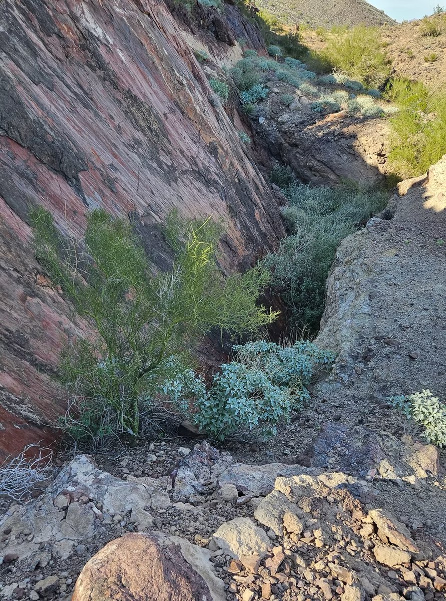 TiderockCo's tweet photo. Here are some recent photos from Arcata Global AZ Claim #1.  We will be requesting a new geological survey and assay in the upcoming weeks and will provide updates once received. $TDRK #goldmining #rareearthminerals https://t.co/hEIE6Z7k6g