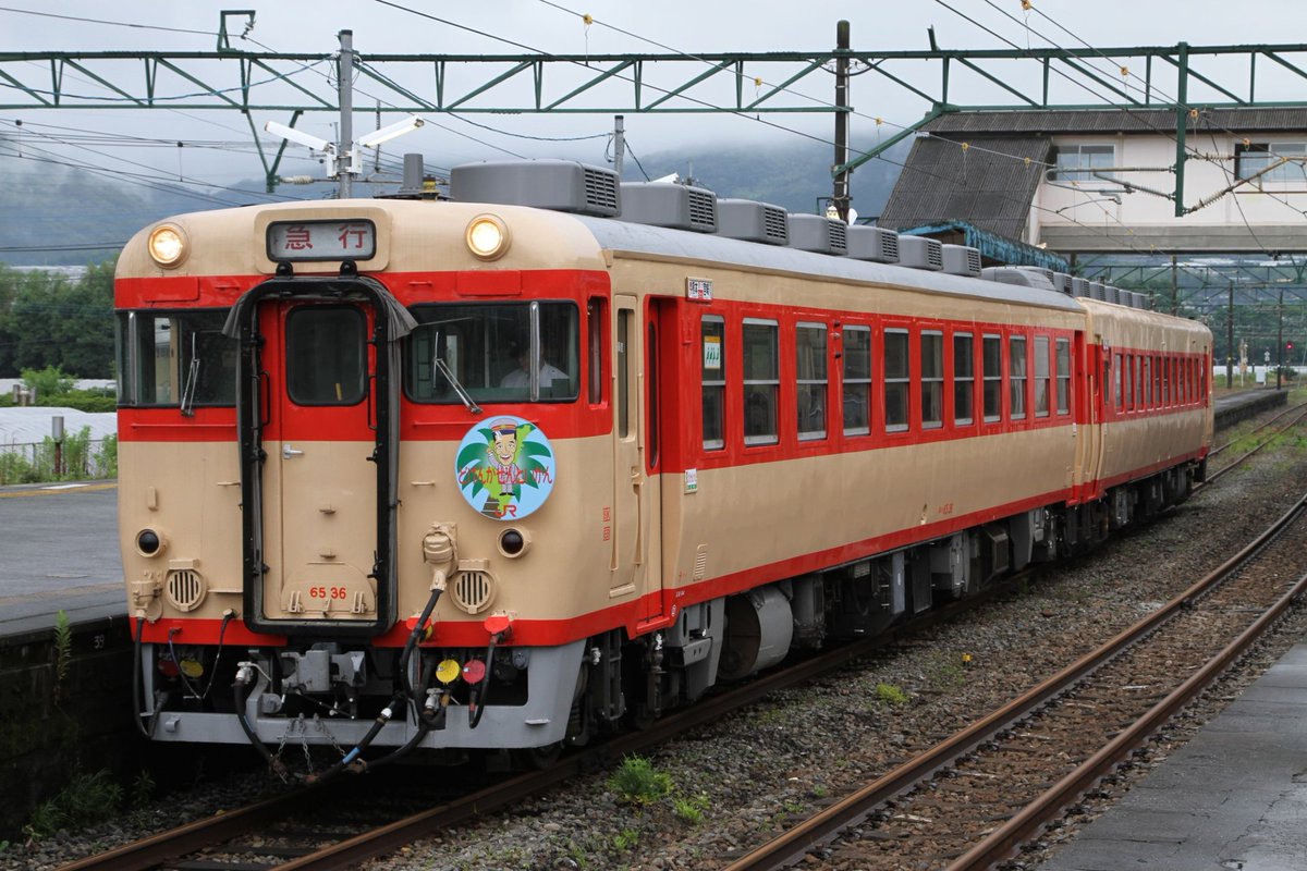 Kansaiman3's tweet photo. #キハ65の日
キハ28.58と運用されてたが、いちはやく姿を消して、最後は九州と四国に僅か残るのみでしたね。
今も、ゆふいんの森Ⅰ世で、形式は違えど活躍はしてますが、あちらもカウントダウン。
大分の65-36が塗替された時はマジ燃えました。
中でも面白かったのが、どげんなせんといかん号！ https://t.co/AqaddOhSto
